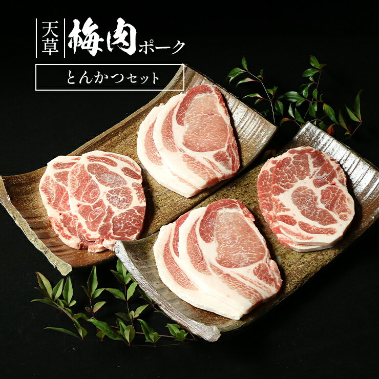 高級 お中元 夏のギフト 夏ギフト プレゼント 贈り物 天草梅肉ポーク 豚肉 ロースとんかつ用 4枚 肩ロースとんかつ用 4枚 合計800g 冷凍食品 おかず お取り寄せグルメ 国産 九州産 熊本産 ホルモン剤不使用 抗生物質不使用 抗菌剤無添加 ホルモンフリー 高級