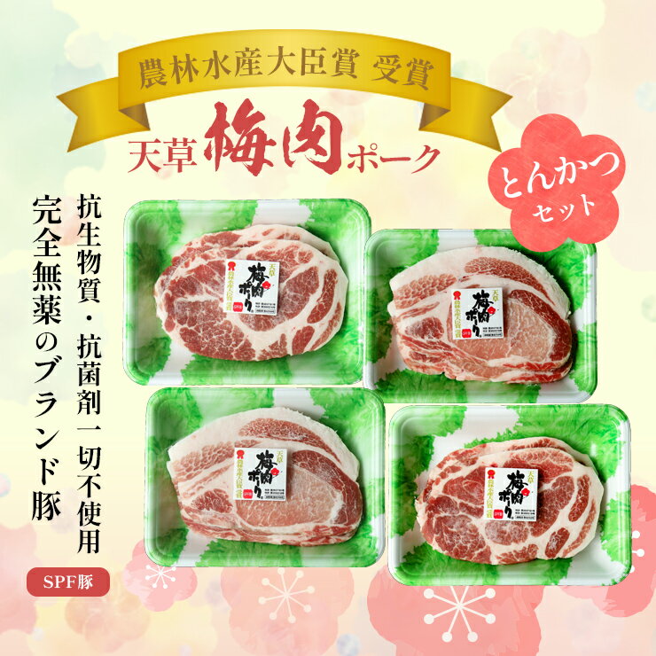 高級 お歳暮 御歳暮 ギフトプレゼント 贈り物 天草梅肉ポーク 豚肉 ロースとんかつ用 4枚 肩ロースとんかつ用 4枚 合計800g 冷凍食品 おかず お取り寄せグルメ 国産 九州産 熊本産 ホルモン剤不使用 抗生物質不使用 抗菌剤無添加 ホルモンフリー 高級 2