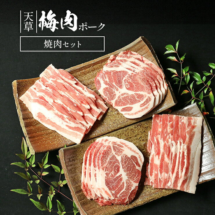 プレゼント ギフト 贈り物 天草梅肉ポーク 焼肉セット 豚肉 バラ焼肉用 500g(250gx2p) 約5人前 肩ロース焼肉用 500g(250gx2p) 冷凍食品 おかず お取り寄せグルメ 国産 九州産 熊本産 ホルモン剤不使用 抗生物質不使用 抗菌剤無添加 ホルモンフリー 高級