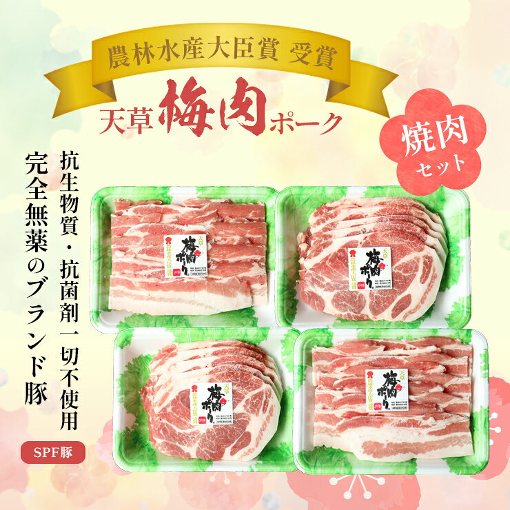 天草梅肉ポーク 焼肉セット 1kg 豚バラ500g 肩ロース500g 熊本県産 国産豚肉 SPF豚 冷凍 豚肉 焼肉 BBQ バーベキュー お取り寄せ ブランド豚 小分け 250g×4パック 約5人前 家庭用 まとめ買い 送料無料 meat-21-10001383 ミート21ショップ 楽天市場店 サンプル画像2