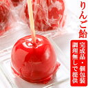 完成品 個包装済み 業務用 アイス 丸ごと りんご飴 フルーツ飴 棒 キャンディーアップル 林檎飴 タンフル 学園祭 学祭 屋台 冷凍 模擬店 文化祭 お祭り 高校 大学 小学校 保育園 夏祭り 秋祭り 食品 冷凍 食べ物 調理無し そのまま出せる 景品 子供 スイーツ 縁日