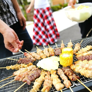 バーベキューセット 肉 バーベキュー 焼肉セット bbq イベント お祭り 業務用 焼き鳥 豚バラ串 30g×100本 業務用 冷凍