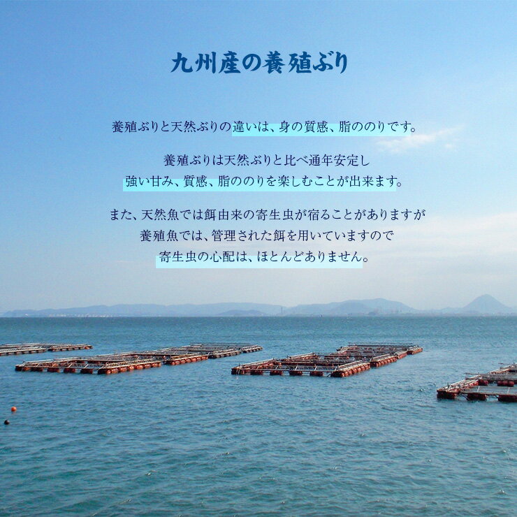 しっかりに煮付けているので 骨まで柔らかくて食べれるので食べやすい 便利なおかず おつまみになる一品です レトルト食品のため常温保存可能 個包装でいつでも楽しめるレンチン魚 お買い物マラソン 全品送料0円 セール Sale 骨まで食べられる 骨まで食べれる魚 ぶりかま