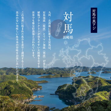 骨まで食べられる 焼き魚 あじ 干物 約50g×5枚 アジ ひもの 干物セット 開き 塩焼き 焼魚 グリル おつまみ 国産 長崎県産 対馬 長期常温保存 メール便 食品ロス フードロス ポイント消化 お取り寄せグルメ 送料無料 真空パック 電子レンジ コロナ 応援 レトルト 非常食