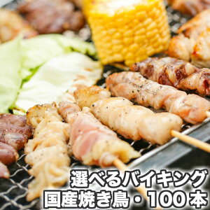 選べるバイキング 国産焼き鳥100本セット