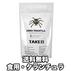 食用虫 虫 食べる虫 タランチュラ（蜘蛛/クモ）1匹 タイ産 食用虫 昆虫食 食べる虫入門 スナック おつまみ お菓子 珍味 パーティー 送料無料 TAKEO 罰ゲーム グッズ ドッキリ イタズラ ゲテモノ イベント 二次会 インパクト 食用蟲 常温保存 訳あり 食品