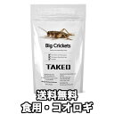 食用虫 コオロギ（クリケット/フタホシコオロギ）15g タイ産 昆虫食 食べる虫