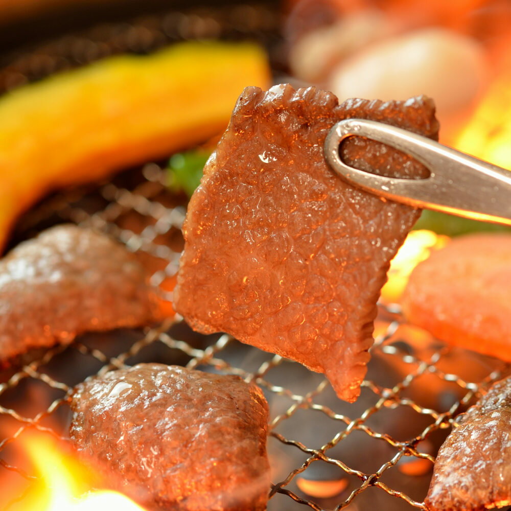 焼肉用(やきにく/焼き肉焼き肉セット) 赤身 500g 宮崎県産 黒毛和牛 EMO牛（有田牛/エモー牛） 冷凍食品 おかず 珍味のお試し・おためしに 簡易包装 ビールのお供に お取り寄せグルメ 冷凍食品 おかず 国産 九州産 抗生物質不使用 遺伝子組換え飼料不使用