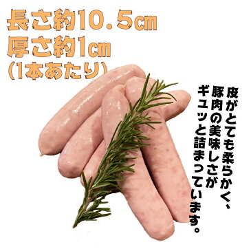 国産ガーリックウィンナー　1パック約150g入り/お肉屋さんこだわりのウィンナー！　変わり種 キャンプ バーベキュー パーティー おつまみ ジューシー オリジナルウィンナー にんにく 癖になる味 プレゼント