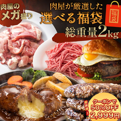 肉 セット・詰め合わせ・ハンバーグ・はしっこ味付肉・訳あり・はしっ...