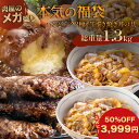 【 50％OFFで3,999円!!】 福袋 2024 食品 【 送料無料 】 福袋 2023 ハンバ ...