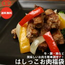 [ 訳あり 送料無料 ] はしっこ 訳あり お肉福袋 6種 4kg　・はしっこタレ漬け牛ハラミ・はしっこタレ漬け牛カルビ・はしっこ豚ロースまたはヒレ・ハンバーグパテ(チーズ)・ハンバーグパテ(プレーン)・訳ありまたははしっこ！お肉が1kg