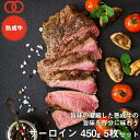 アメリカ産 熟成 サーロイン ステーキ (450g) 5枚セット【 熟成牛 牛肉 BBQ ステーキ肉 赤身 】 アウトレット サンプル 仕送り お弁当 子供 時短ごはん 食事 食べ物 業務用 おかず 家庭用 ギフト 福袋 2024 食品