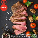 P10倍 アメリカ産 熟成 サーロイン ステーキ (450g) 20枚セット【 熟成牛 牛肉 BBQ ステーキ肉 赤身 】 アウトレット サンプル 仕送り お弁...