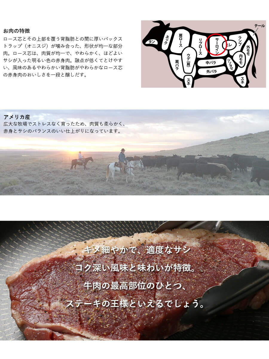 アメリカ産 熟成 サーロイン ステーキ (450g) 20枚セット【 熟成牛 牛肉 BBQ ステーキ肉 赤身 】 アウトレット 処分 サンプル 仕送り お弁当 子供 時短ごはん 単身赴任 食事 食べ物 業務用 おかず お中元 母の日 家庭用 お中元ギフト お中元ギフト