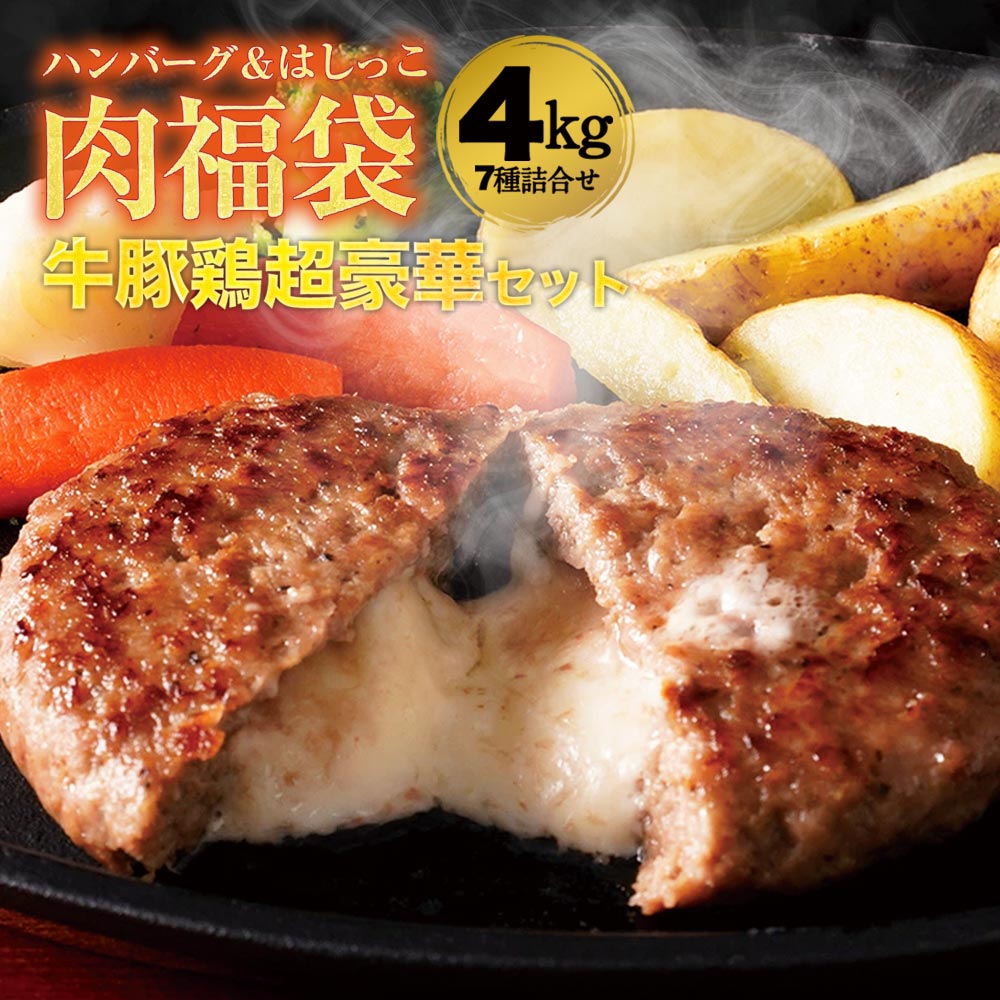 【大人気！ 8月下旬発送！】[ 訳あり 送料無料 ] はしっこ 訳あり お肉福袋 6種 4kg ・ハンバーグチーズ・訳ありはしっこ！お肉が1kg 在庫処分 食品 アウトレット 処分 サンプル 豚肉 牛肉 ハンバーグ 福袋 冷凍食品 業務用 お弁当 子供 時短ごはん おかず