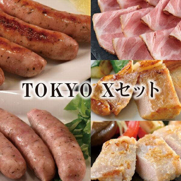 【 送料無料 】 TOKYO X セット【C】仕送り お弁当 子供 時短ごはん 食事 食べ物 業務用 おかず プレゼント 贈り物 グルメ 実用的 食品 肉 ギフト 福袋 2024 食品