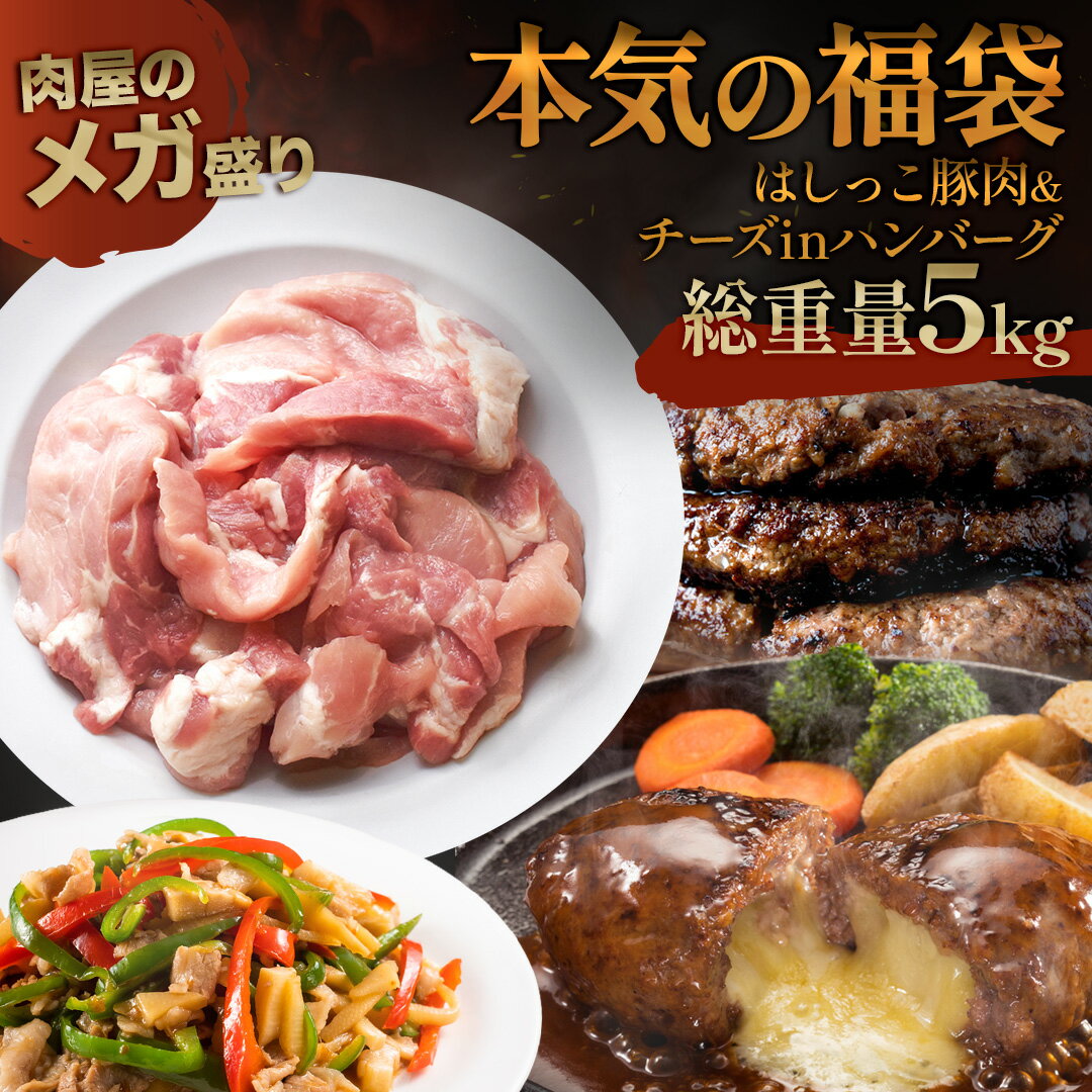 2025 福袋 総重量 5kg はしっこ豚 4kg& チーズインハンバーグ 1kg 肉福袋 肉福袋 豚肉 チーズ イン ハンバーグ はしっこ 冷凍 冷凍食品 お...