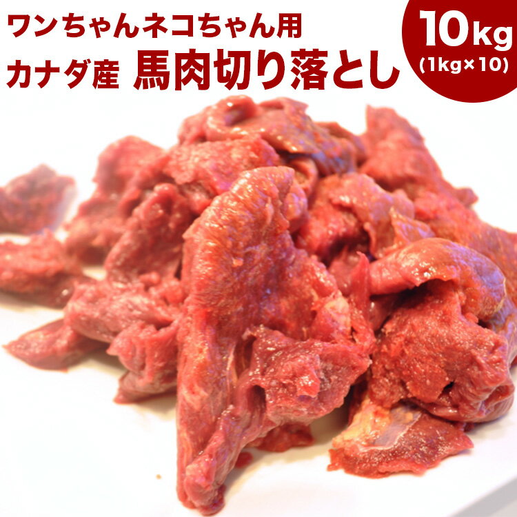 犬 馬肉 生肉 送料無料【送料込/同