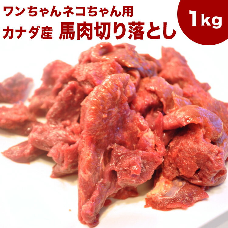 犬 馬肉 生肉 送料無料【送料込】《業務用簡易パック》【赤身1kg】カナダ産馬肉切り落とし【カタマリ】1kg 注！バラ凍結ではございません