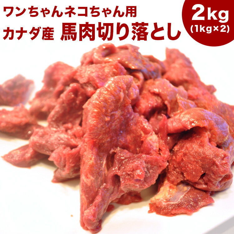 【注！バラ凍結ではございません 】【送料込】 【送料込み】《業務用簡易パック》【赤身2kg】カナダ産【カタマリ】馬肉切り落とし2kg（1kg×2袋）　 注！バラ凍結ではございません 業務用パックのため、ビニールが弱く配送時の擦れ等で 袋が切れてしまう場合がございます。 冷凍品ですので、その際も直ちに雑菌が繁殖し不衛生ということはございません。何卒ご了承の上お買い求めをお願い申し上げます。 ※冷蔵室での解凍をお勧めします。 一度解凍した物は、再冷凍せずに処分してください。 パック接着部分は解凍時に緩みが出ることがあります。袋ごと解凍の際はお皿に乗せて解凍してください。 　 【商品について】 馬肉の脂はリノール酸オレイン酸が多く含まれておりますのでとても質の良い脂です。 馬刺し加工段階で出来た切り落としになります。大小ブロック馬肉になります。 注！バラ凍結ではございません 高タンパク・低カロリーでグリコーゲン・鉄分が多く含まれます。 　　　100g/110kcal 【与え方について 生食 】 生肉に慣れている子は解凍のみで与えてください。 ずっとドッグフード、加熱食を食べていた子は、少しずつ生に慣らして あげて下さい。 【馬肉ブロックのパックについて】 この商品は業務用のため簡易パックになっております。 チェックして発送いたしますが、配送段階で袋がお肉同士の擦れ等により破損する可能性があります。 ご了承の上お買い求めいただきたく何卒宜しくお願い申し上げます。 関連商品犬 馬肉 生肉 送料無料【3Pセット】馬肉パラパラミンチ 1.5kg（...犬 馬肉 生肉 送料無料【2Pセット】馬肉スライス 2kg（1Kg×2...3,800円4,200円犬 馬肉 生肉 送料無料【送料込】《業務用簡易パック》【赤身3kg】カ...犬 馬肉 生肉 送料無料【5Pセット】馬肉パラパラミンチ 2.5kg（...5,200円5,730円犬 馬肉 生肉 送料無料《業務用簡易パック》【赤身5kg】カナダ産馬肉...犬 馬肉 生肉 送料無料【送料込/同梱包不可】《業務用簡易パック》【赤...8,040円14,100円犬 馬肉 生肉 送料無料【3Pセット】馬肉スライス 3kg（1Kg×3...犬 馬肉 生肉 送料無料【10Pセット】馬肉パラパラミンチ 5kg（5...5,750円10,550円犬 馬肉 生肉 送料無料【5Pセット】馬肉スライス 5kg（1Kg×5...犬 馬肉 生肉 送料無料【10Pセット】馬肉スライス 10kg（1Kg...9,050円16,100円注！バラ凍結ではございません【送料込】 【馬肉ブロックのパックについて】 この商品は業務用のため簡易パックになっております。 チェックして発送いたしますが、配送段階で袋がお肉同士の擦れ等により破損する可能性があります。 ご了承の上お買い求めいただきたく何卒宜しくお願い申し上げます。 　　　　　 商品名 カナダ産 馬肉切落し2kg（1kg×2袋） 商品説明 加工段階で出来た切り落としになります。大小ブロック馬肉になります。 注！バラ凍結ではございません 原産国 カナダ産　 規格 2kg（1kg×2袋） 配送方法 冷凍 賞味期限 冷凍で約2ヵ月 与え方 ●生肉に慣れている子は解凍のみで与えてください。 ずっとドッグフード、加熱食を食べていた子は、少しずつ生に慣らして あげて下さい。 飼い主さんが 食べるなら 固いのでカレーなどで！ 【※もちろん加熱調理して下さい】 フランスでは馬肉を昔から食べる文化があります。アスリートやモデルが馬肉を食べることは良く知られております。　日本でも昔から薬膳料理として親しまれている文化があります。 備考 ●保存方法：?18℃以下で保存してください。 　 　　解凍後は、すぐにお召し上がりください。 　 　※冷蔵室での解凍をお勧めします。 　　一度解凍した物は、再冷凍せずに処分してください。 　