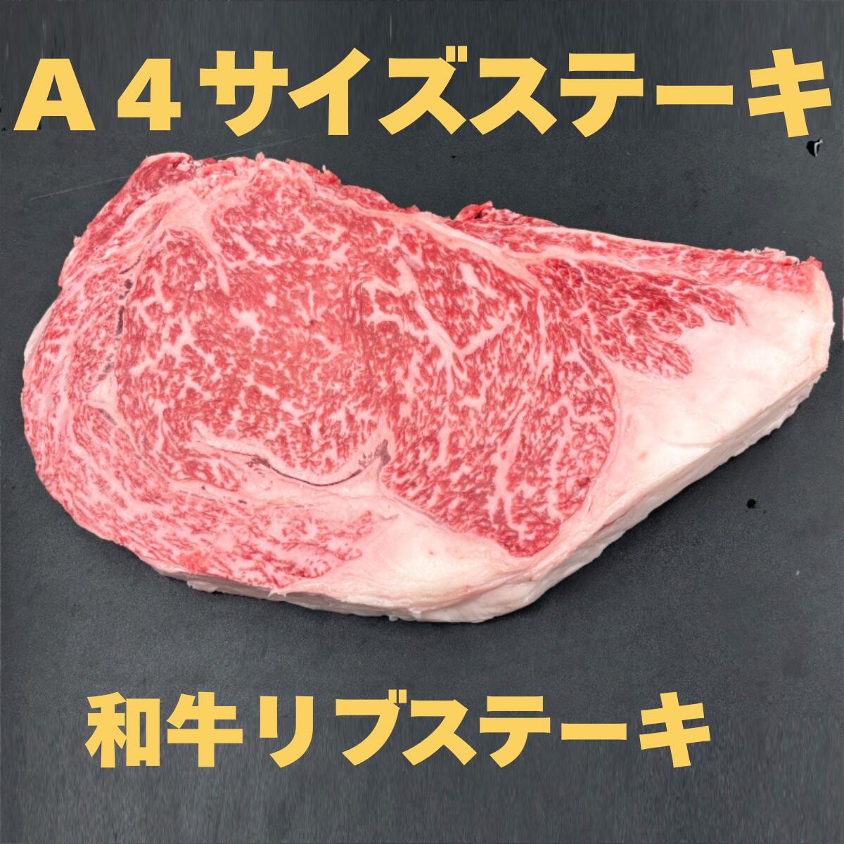 A4µ֥ʥơѡ/ơơ490g690g