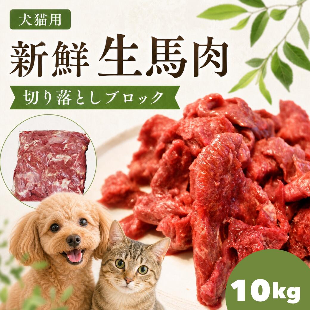 Rakuten - 犬 馬肉 生肉 送料無料【送料込/同梱包不可】《業務用簡易パック》【赤身10kg】カナダ産馬肉切り落とし【カタマリ】10kg（1kg×10袋）注！バラ凍結ではございません　ペットフード　ドックフード　キャットフード