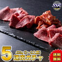 【リアルガチャ福袋】リアル肉ガチャ5連430g【SSR2品確定・送料無料 父の日 お中元】