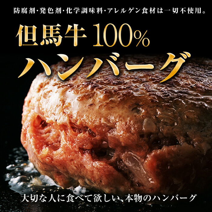自家製【神戸牛・但馬牛100%】 ハンバーグ 6個 1.14kg 父の日 お中元