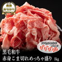 【黒毛和牛】赤身こま切れめっちゃ盛り1kg（小分け250g×4個）【国産和牛 黒毛和牛 和牛 御贈答 帰歳暮 内祝い 御祝 出産祝 快気祝 お誕生日 赤身 こま切れ】