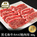 国産和牛　飛騨牛カルビー（焼肉用）500g×10P（P2,950円税別）冷凍　業務用　ヤヨイ　お中元　お歳暮