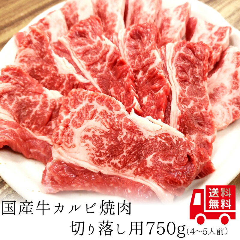 【国産牛】牛カルビ焼肉切り落し750g【国産牛肉 卒業入学祝 国産牛 ギフト 帰歳暮 御贈答 内祝い 御祝 出産祝 快気祝 お誕生日 赤身 カルビ 焼肉】