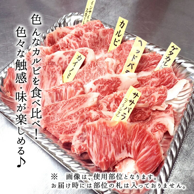 【3セット購入で送料無料】【神戸牛】カルビ焼肉切り落し250g×3セット【神戸牛 但馬牛国産和牛 和牛 御贈答 内祝い 御祝 出産祝 快気祝 お誕生日 お歳暮 帰歳暮 お年賀 BBQ 焼肉 神戸牛 カルビ バラ】