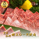 【特上高級霜降り焼肉】黒毛和牛 A5ランク・特上ロース 焼肉 500g 1kg ギフト対応 国産 和牛 高級肉 お肉 A5 お取り寄せ 焼肉 お取り寄せグルメ ...