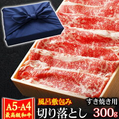 https://thumbnail.image.rakuten.co.jp/@0_mall/meat-tamaya/cabinet/beef/2401/2p-kirisuki-gk-300.jpg