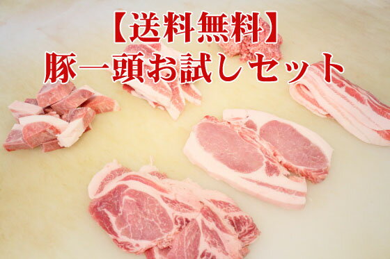 【ふるさと納税】和豚もちぶた こま切れ 3kg （300g×10パック） セット もち豚 豚こま お肉 肉 豚肉 豚 おかず 惣菜 朝ごはん お弁当 小分け 真空パック 冷凍 新潟県 新潟　【 新潟市 】