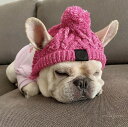 犬服 ニット帽 犬用 秋冬 オシャレ ワンちゃんの服 ペット服 ドッグウェア 犬用 猫用 洋服 ペット用 送料無料 犬の日 コスプレ プレゼント 防寒対策