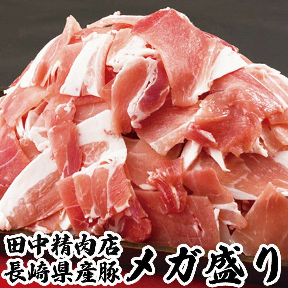 長崎県産 豚肉切り落とし 豚もも 豚 モモ 豚もも肉 切落し メガ盛り 500g×2 豚肉 切り落とし 豚こま 国..