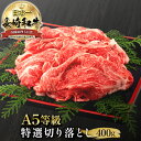 長崎和牛 特選 切り落とし 400g 国産牛肉 スライス 長崎県産 すき焼肉 a5 黒毛和牛 すき焼き 和牛 すき焼き肉 肩ロース ネック バラ モモ ウデ 高級肉 高級 家庭用 すき焼 好き焼肉 牛肉 肉じゃが 牛丼 カレー 取り寄せ お取り寄せ お取り寄せグルメ