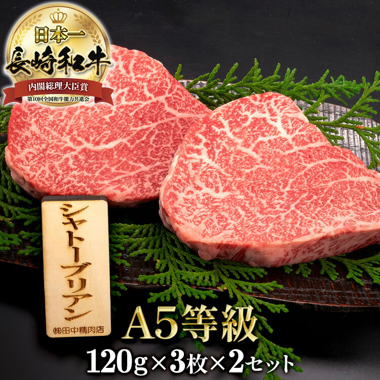 楽天長崎和牛通販　田中精肉店＼MAX30％OFFクーポン対象！20日まで！／長崎和牛 A5ランク シャトーブリアン ステーキ 120g × 3枚入り × 2箱 計6枚 720g 長崎県産 肉 牛ヒレ肉 牛フィレ 国産和牛 国産 誕生日 お祝い 記念日 ギフト 贈答品 贈答用 希少部位 最高ランク 牛肉