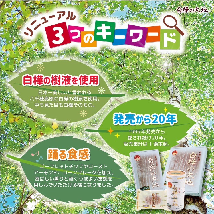 【長野 お土産 お菓子】白樺の大地6個入×36袋 （白樺の樹液入り ）信州の県木白樺をイメージしたチョコクランチです。信州 お土産 手土産 おみやげ 長野県 お取り寄せ