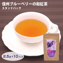 信州ブルーベリーの和紅茶TBスタンドパック 和紅茶 紅茶 信州あんず あんず紅茶 信州みやげ 【信州芽吹堂】【長野 お土産】(4)