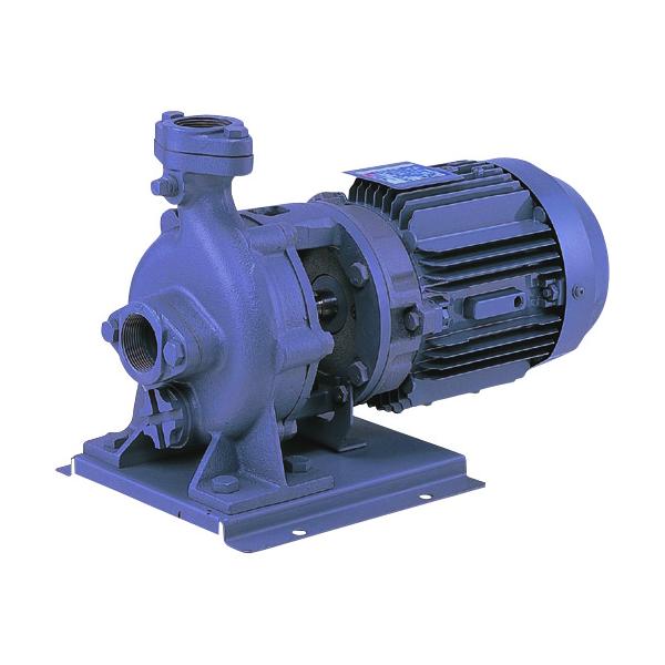 Rakuten - 荏原製作所 65FVD53.7B FVD型ブルテックスポンプ 50Hz 口径65mm 出力3.7kW エバラ