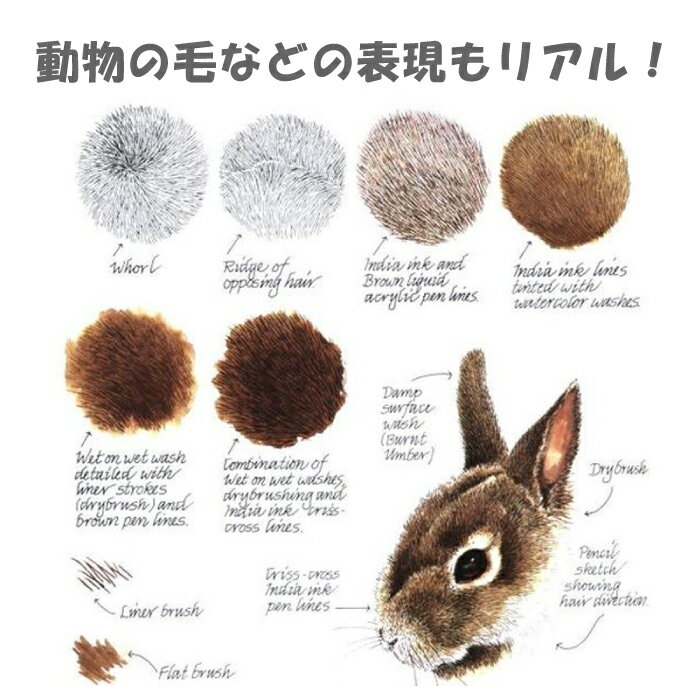 送料無料 スケッチ用品 画材セット お絵かきセット お絵描きセット 絵の具セット 塗り絵セット 高品質 お絵描き 水彩画 顔料 新学期 夏休み 小学生 母の日 お祝い おすすめ 人気 水彩色鉛筆セット 72色セット 色鉛筆 プロ仕様 初心者 子供 水彩絵具 文具 デッサン お