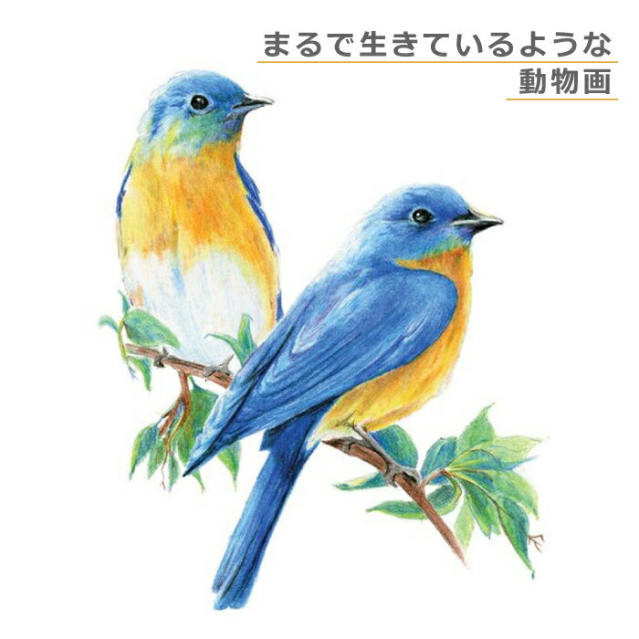 送料無料 スケッチ用品 画材セット お絵かきセット お絵描きセット 絵の具セット 塗り絵セット 高品質 お絵描き 水彩画 顔料 新学期 夏休み 21新発 小学生 母の日 お祝い おすすめ 人気 水彩色鉛筆セット 72色セット 色鉛筆 プロ仕様 初心者 ぬり絵 クリスマス 画材