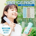【選べる特典付】 ピーコック ネッククーラー 魔法瓶構造 アイスパック 氷のう 氷嚢 容量150ml 保冷 長持ち ひんやり 冷却グッズ 真空断熱 熱中症対策 ...