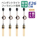 【選べる特典付】ペンダントライト ダクトレール 4灯セット E26口金 55W形相当 電球色 LED電球付き フィラメント電球 6W 茶色 管状電球 照明器具 ...