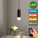 ペンダントライト スポットライト ダクトレール用【選べる特典付】 照明器具 天井 led ライティングレール用 LED電球付き 4.5W 40W形相当 リモコン...