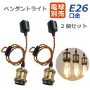 ペンダントライト ダクトレール 2個セット 【選べる特典付】 電球別売り E26口金 LED電球対応 照明器具 天井 led 電球ソケット 天井照明 間接照明 ...