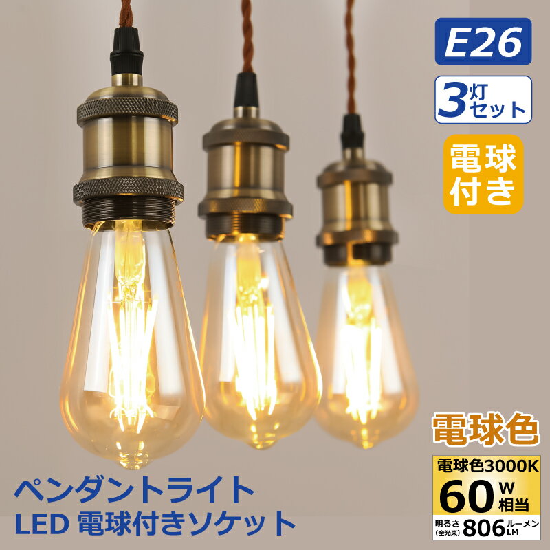 ペンダントライト 3灯セット E26口金 LED電球付き エジソン電球 60W形相当 電球色 電球ソケット 配線ダクトレール用 天井照明 吊り下げ 100cm調節可能 レールライト ダイニング リビング カフェ風 店舗照明 照明器具 天井 led 北欧風 おしゃれ レトロ 【選べる特典付】